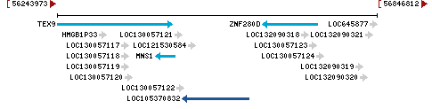 Genomic Context describing neighboring genes