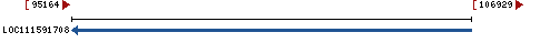 Genomic Context describing neighboring genes