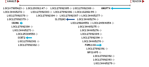 Genomic Context describing neighboring genes