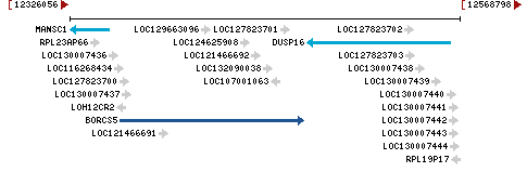 Genomic Context describing neighboring genes