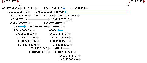 Genomic Context describing neighboring genes