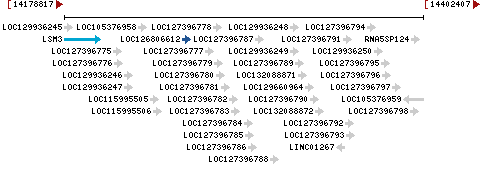 Genomic Context describing neighboring genes