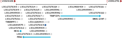 Genomic Context describing neighboring genes