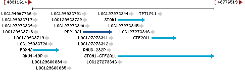 Genomic Context describing neighboring genes