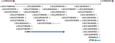 Genomic Context describing neighboring genes