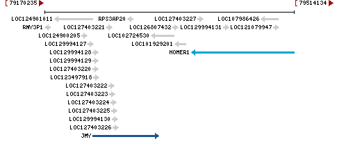 Genomic Context describing neighboring genes