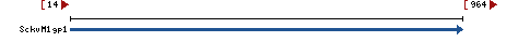 Genomic Context describing neighboring genes