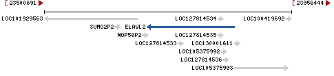 Genomic Context describing neighboring genes