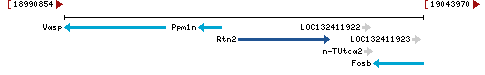 Genomic Context describing neighboring genes