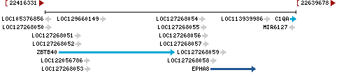 Genomic Context describing neighboring genes