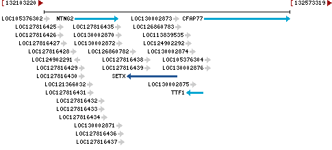 Genomic Context describing neighboring genes