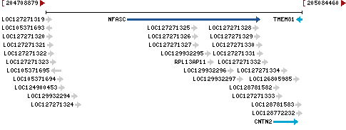 Genomic Context describing neighboring genes