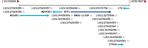 Genomic Context describing neighboring genes