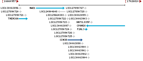 Genomic Context describing neighboring genes