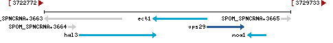 Genomic Context describing neighboring genes