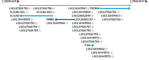 Genomic Context describing neighboring genes