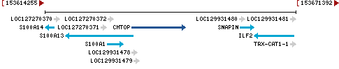 Genomic Context describing neighboring genes