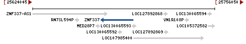 Genomic Context describing neighboring genes