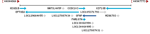 Genomic Context describing neighboring genes