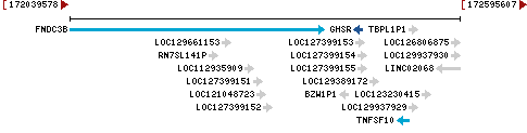 Genomic Context describing neighboring genes