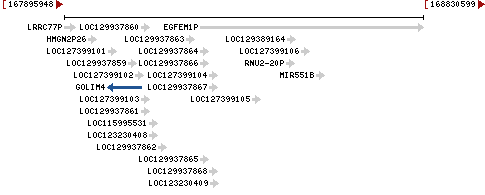 Genomic Context describing neighboring genes