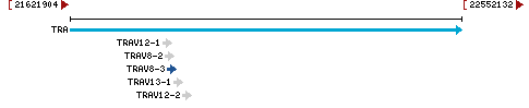 Genomic Context describing neighboring genes