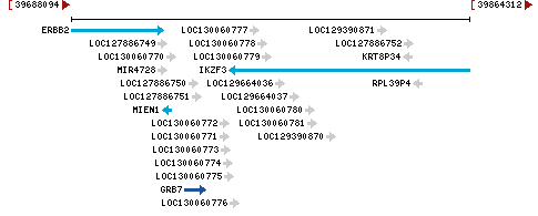 Genomic Context describing neighboring genes