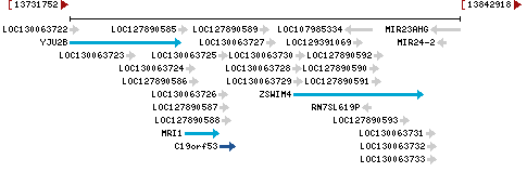 Genomic Context describing neighboring genes