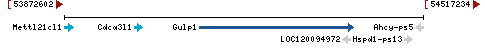 Genomic Context describing neighboring genes