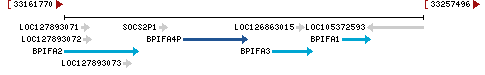 Genomic Context describing neighboring genes