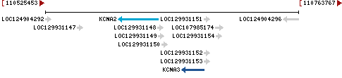 Genomic Context describing neighboring genes