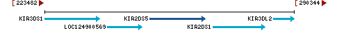 Genomic Context describing neighboring genes