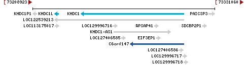 Genomic Context describing neighboring genes