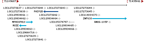 Genomic Context describing neighboring genes