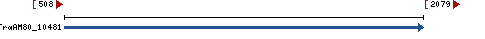 Genomic Context describing neighboring genes