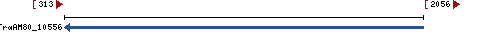 Genomic Context describing neighboring genes