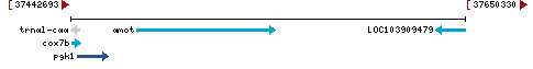 Genomic Context describing neighboring genes