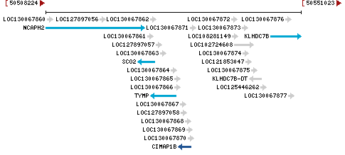 Genomic Context describing neighboring genes