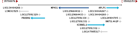 Genomic Context describing neighboring genes