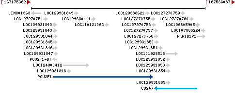 Genomic Context describing neighboring genes