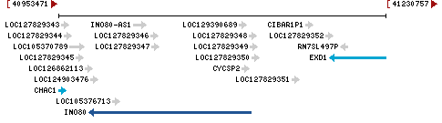 Genomic Context describing neighboring genes