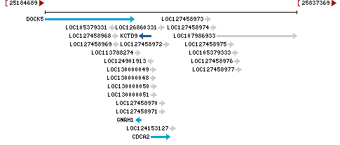 Genomic Context describing neighboring genes