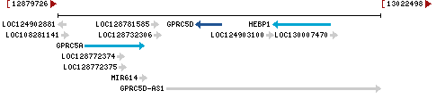 Genomic Context describing neighboring genes