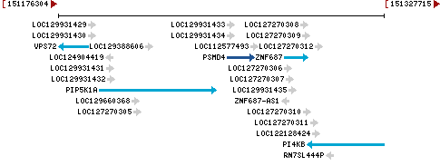 Genomic Context describing neighboring genes