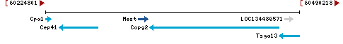 Genomic Context describing neighboring genes