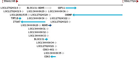 Genomic Context describing neighboring genes