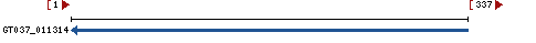 Genomic Context describing neighboring genes