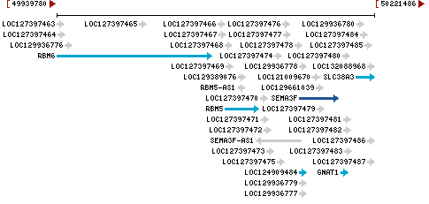 Genomic Context describing neighboring genes