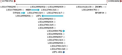 Genomic Context describing neighboring genes