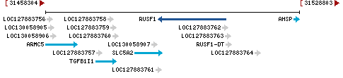 Genomic Context describing neighboring genes